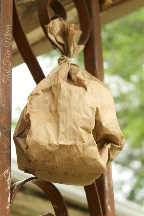 paper bag fake wasp nest|paper bag wasp deterrent.